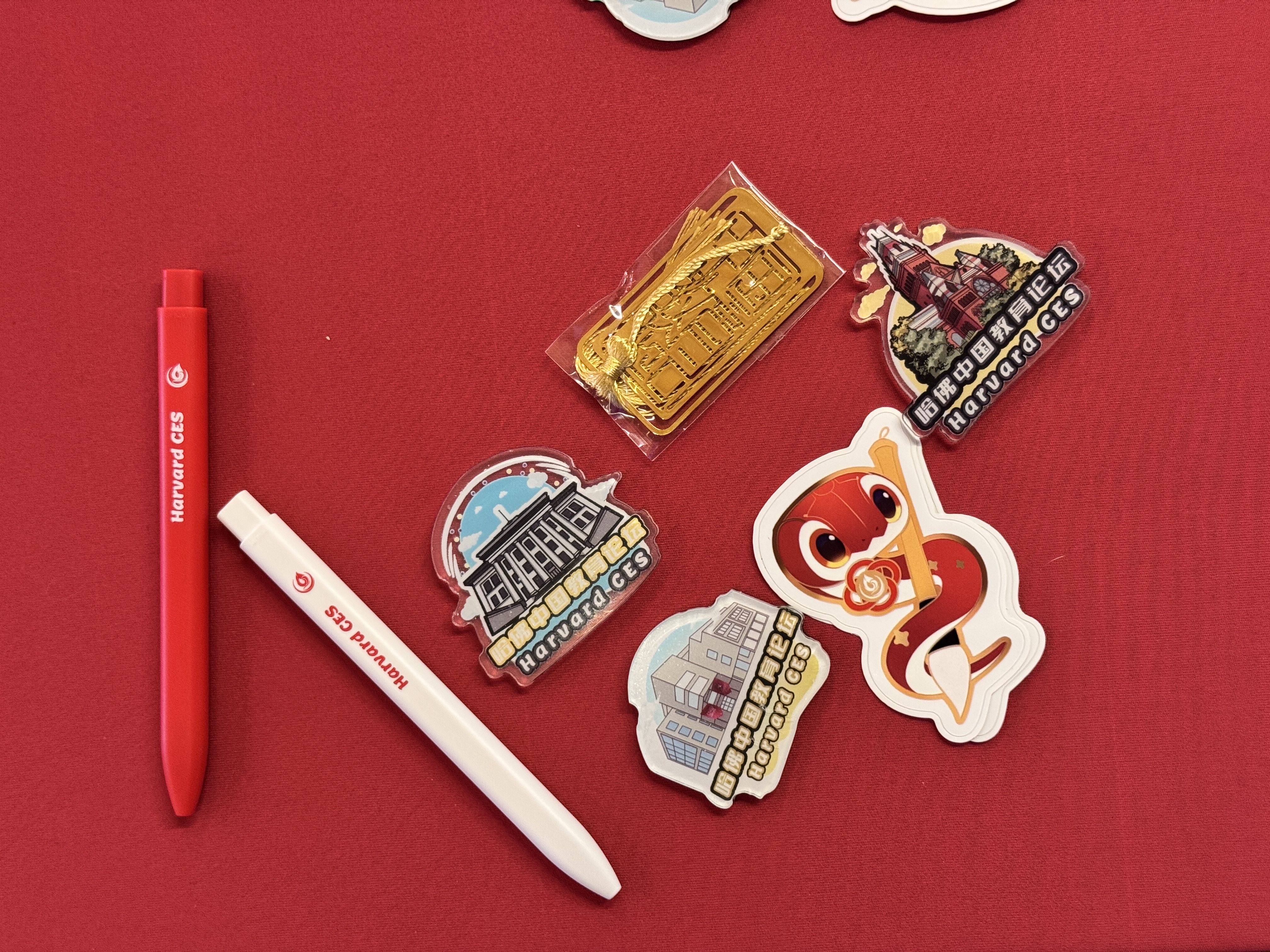 CES Merchandise Design